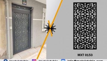 Lazer Kesim Metal Ferforje Camlı Apartman Giriş Kapısı